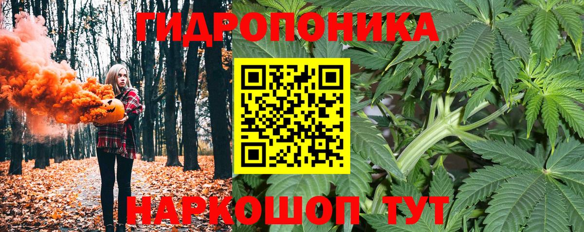 Нерюнгри  Каннабис ГИДРОПОН  Вход с VPN  Шишки марихуана марихуана 